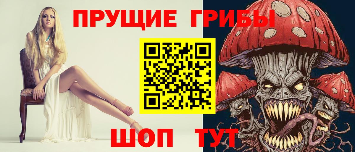 Троицк  Галлюциногенные грибы Psilocybe  Вход с VPN 