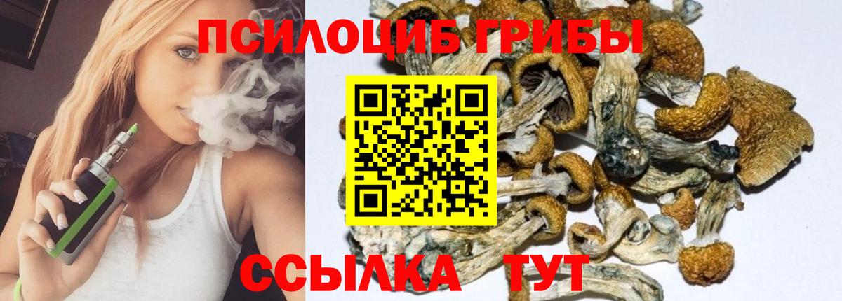 Псилоцибиновые грибы MAGIC MUSHROOMS Троицк